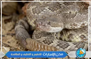 شركة مكافحة الثعابين في الشارقة