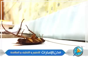 شركة مكافحة الصراصير في الشارقة