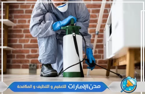 مكافحة حشرات الفراش في الشارقة