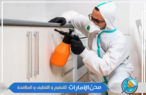 أماكن تواجد حشرات الفراش في الشارقة