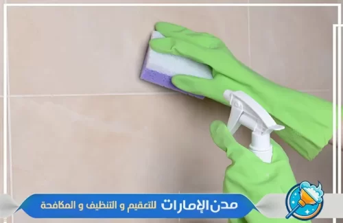 تنظيف جدران المنازل بدون أثاث في راس الخيمة تنظيف جدران المنازل بدون أثاث في راس الخيمة