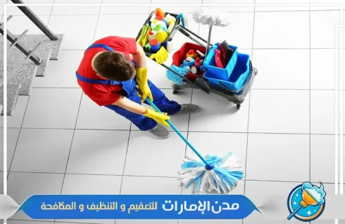 مواد امنة لتنظيف المنزل بدون اثاث في دبي