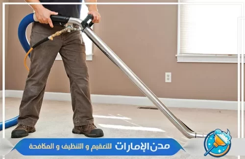 استخدام مواد آمنة لتنظيف المنازل بدون أثاث في راس الخيمة استخدام مواد آمنة لتنظيف المنازل بدون أثاث في راس الخيمة