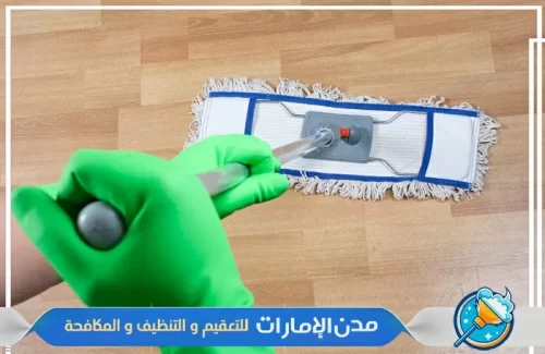 استخدام اجهزه حديثة في تنظيف المنازل بدون أثاث في راس الخيمة استخدام اجهزه حديثة في تنظيف المنازل بدون أثاث في راس الخيمة