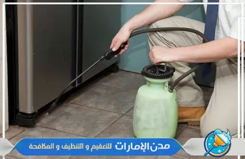 شركة رش دفان في راس الخيمة