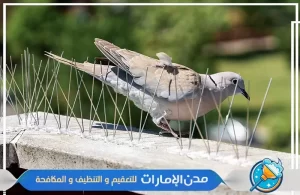 تركيب طارد ومكافحة الحمام في راس الخيمة