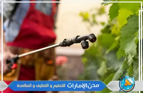 شركة رش مبيدات في الفجيرة