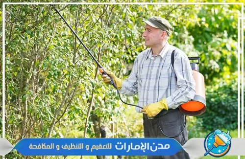 شركة رش مبيدات في راس الخيمة