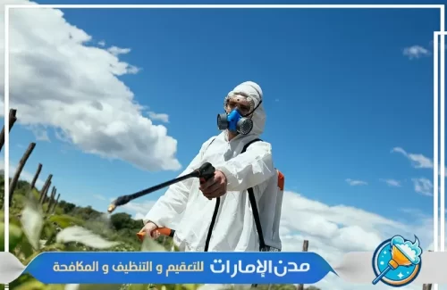 شركة رش مبيدات الحدائق في الفجيرة شركة رش مبيدات الحدائق في الفجيرة