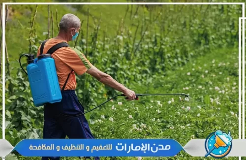 رش مبيدات في الحائق في راس الخيمة