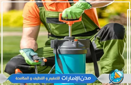 رش مبيدات آمنة في الفجيرة رش مبيدات آمنة في الفجيرة