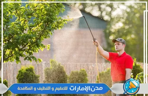 رش مبيدات في راس الخيمة