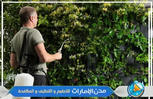 رش مبيدات للمنازل في راس الخيمة