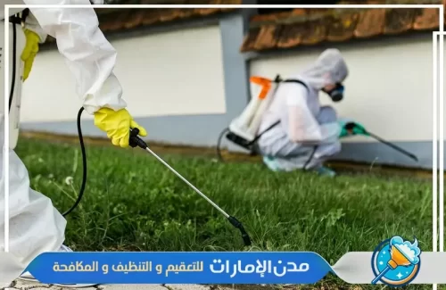 فنيين متخصصين في رش المبيدات في الفجيرة فنيين متخصصين في رش المبيدات في الفجيرة