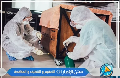 فنيين في مكافحة حشرة بق الفراش في الفجيرة فنيين في مكافحة حشرة بق الفراش في الفجيرة