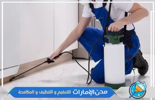 مكافحة حشرات الفراش في الفجيرة