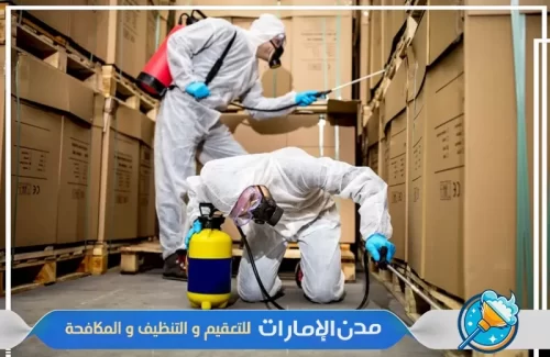 مكافحة حشرات الفراش في راس الخيمة