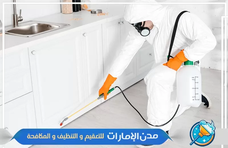 شركة مكافحة حشرات الفراش في عجمان