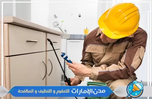 مكافحة حشرات الفراش في ام القيوين