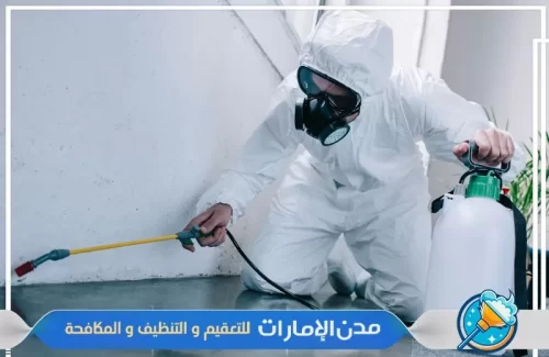 مكافحة حشرات الفراش في الفجيرة