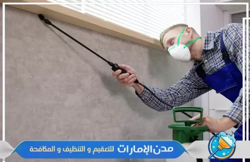 مكافحة حشرات الفراش في راس الخيمة