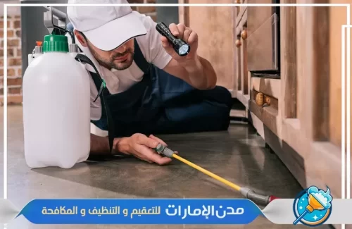 رش جميع اركان المنزل من حشرات الفراش في ام القيوين