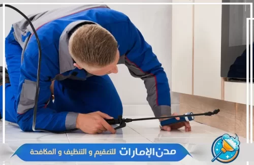 رش المبيدات في اماكن تواجد حشرات الفراش في الفجيرة