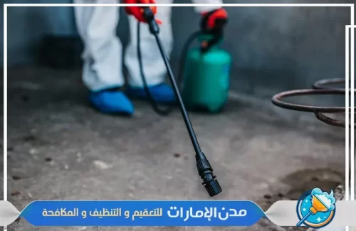 مبيدات آمنة لرش حشرات الفراش في راس الخيمة