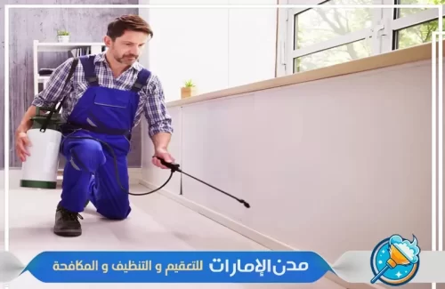 شركة رش الفلل من الرمة في راس الخيمة
