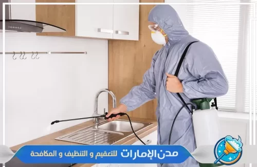 رش مبيدات لمكافحة حشرات الفراش من الغرف في ام القيوين