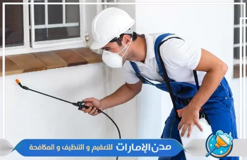 تنظيف وتعقيم الأنماكن التي تم مكافحة حشرات الفراش بها في الفجيرة