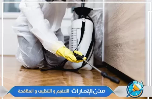 رش الأركان لمكافحة حشرة الفراش في راس الخيمة