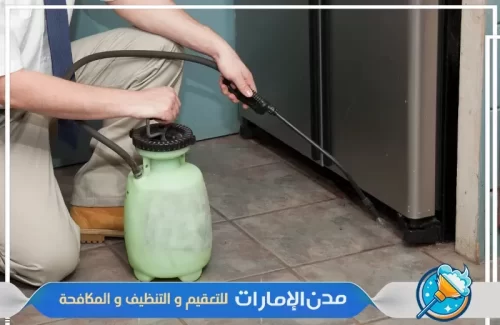 رش الرمة في راس الخيمة