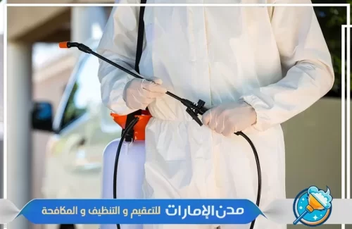 تعقيم جميع الاماكن التي يوجد بها حشرات الفراش في ام القيوين