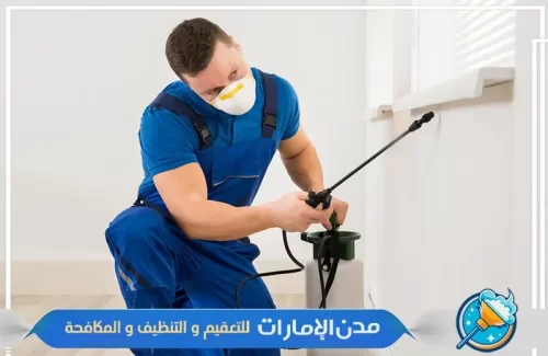 مكافحة حشرات الفراش من الأسرة في الفجيرة