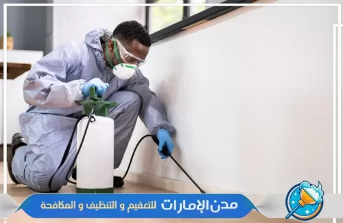 رش المنازل من حشرات الفراش في راس الخيمة
