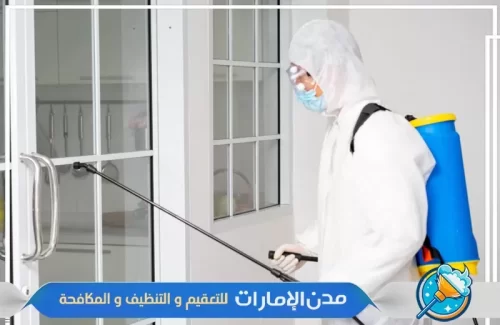 عمال متخصصين في رش الرمة في راس الخيمة
