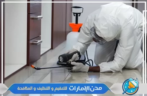 مكافحة حشرات الفراش من جميع اركان المنزل في الفجيرة