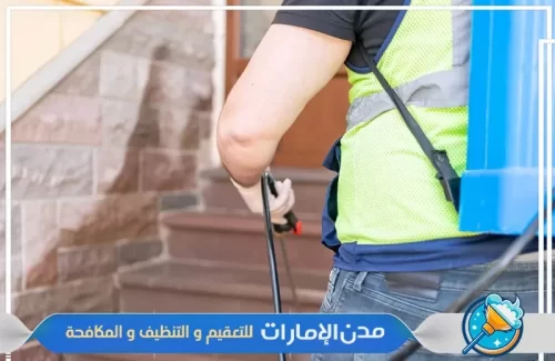رش حشرات الرمة من الحائق في راس الخيمة